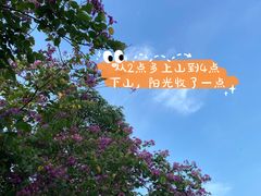 -火炉山森林公园
