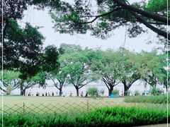 -南沙天后宫景区