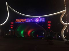 -枫花园汽车电影院(朝阳公园店)