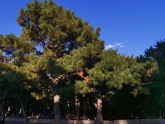 -长春市南湖公园