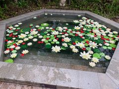 -清远熹乐谷温泉度假酒店