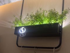 -华夏良子·足道SPA艾灸(王府井店)