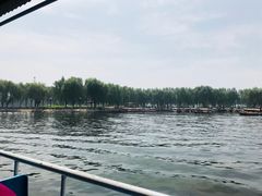 -白洋淀景区