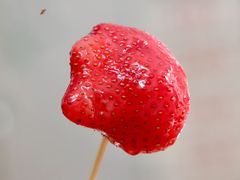 草莓-老炳·七丛松甘草水果