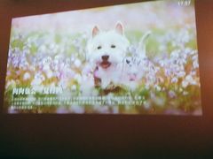 -里岛烤鱼(东港凯虹广场店)