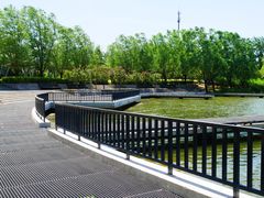 -马家湾湿地公园