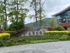 -恩阳古镇