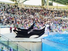 -上海海昌海洋公园