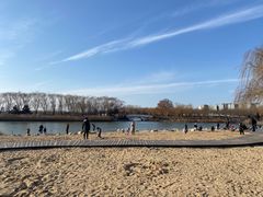 -大兴滨河森林公园