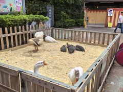 -广州长隆国际大马戏