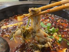 -鸿顺老铁锅美蛙鱼府(解放碑店)
