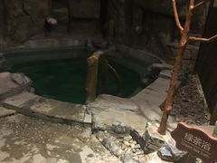 -静之湖湖畔餐厅