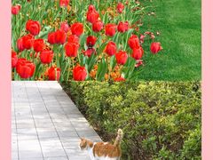 景点-静安雕塑公园