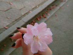 -河海大学(常州校区)