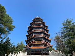 -铁山坪森林公园