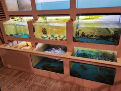 -质烤烤物·活烤海鲜(质烤总店)