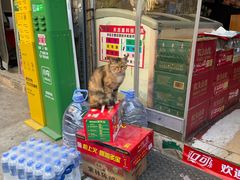 -许西美食一条街