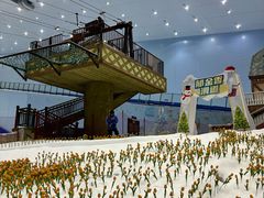 -广州热雪奇迹