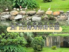 -石排湾郊野公园