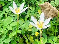 -飞来湖湿地公园