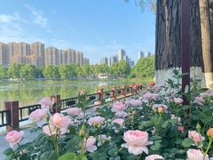 -东湖生态旅游风景区