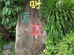 -呀诺达热带雨林