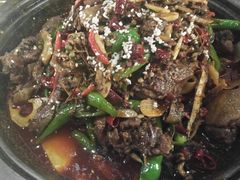-猫头婴小酒馆FUN OWL(1912店)