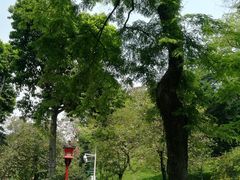 -广州中山纪念堂