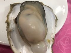 -蠔园山庄(礼乐食街店)