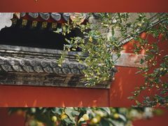 -故宫博物院(故宫)