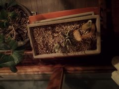 -时光花园(白鹭洲店)