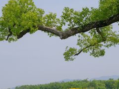 -良渚古城遗址公园