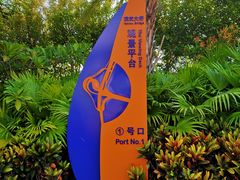 -演武大桥观景平台