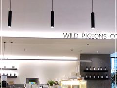 -野鸽子咖啡(中航店)