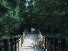-重庆彩云湖湿地公园