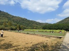 -八卦田遗址公园
