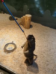 -酷嗒动物文化乐园(cutezoo西溪乐天城店)