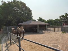 -无锡动物园·太湖欢乐园