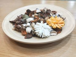 -Union瑜伽健康管理中心