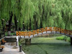 -温江公园