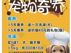 -瑞派名望志远动物医院·猫科·內科·异宠专科(直港大道店)