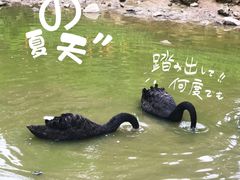 -泉州海丝野生动物世界