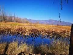 -野鸭湖国家湿地公园