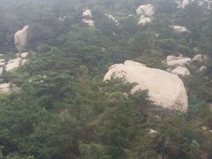 android_upload_pic-崂山巨峰游览区