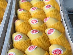 -西郊国际农产品交易中心