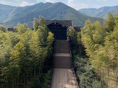 -大唐贡茶院