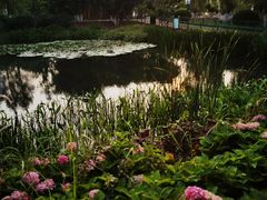 -金银湖国家城市湿地公园