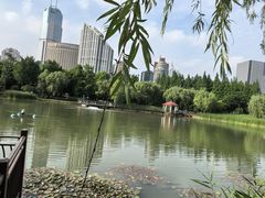 -新虹桥中心花园