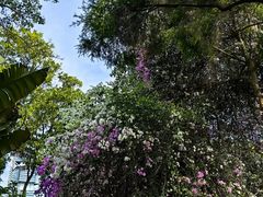 -深圳国际园林花卉博览园