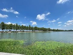 -东湖落雁景区
